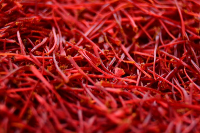 negin saffron